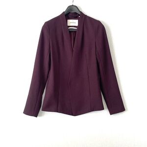 Aritzia Babaton Keith Blazer Jacket